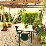 Quinta Santo Antonio 롯지 Pereiro da Palhacana