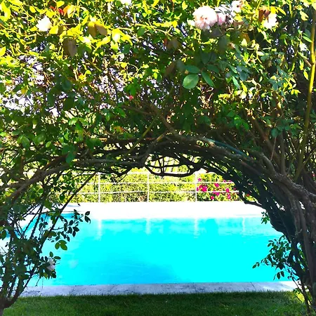 Orman Evi Quinta Santo Antonio *