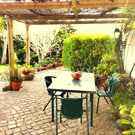 Quinta Santo António Alojamento de Turismo Selvagem Pereiro da Palhacana