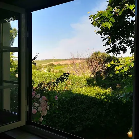 Quinta Santo Antonio Lodge Pereiro da Palhacana