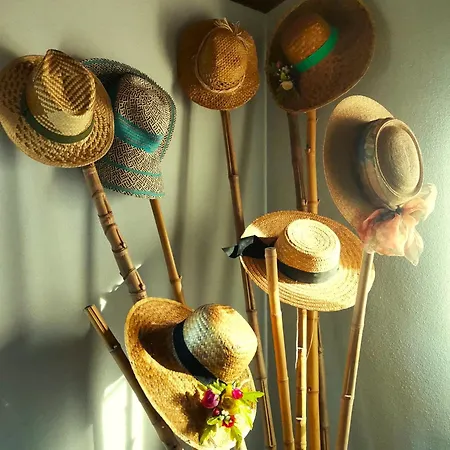 Quinta Santo António Alojamento de Turismo Selvagem