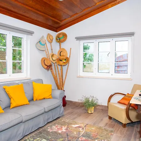 Alojamento de Turismo Selvagem Quinta Santo António Pereiro da Palhacana