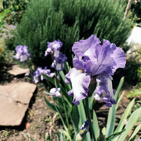 Alojamento de Turismo Selvagem Quinta Santo António